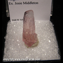 Minerals Specimen: Tourmaline from Afghanistan, Ex. Josie Middleton Minerals Specimen: Tourmaline from Afghanistan, Ex. Josie Middleton