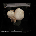 Mineral Specimen: Analcime from Table Mountain, Golden, Jefferson Co., Colorado, Ex. Josie Middleton Mineral Specimen: Analcime from Table Mountain, Golden, Jefferson Co., Colorado, Ex. Josie Middleton