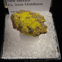 Mineral Specimen: Tyuyamunite from Grants, Valencia Co., New Mexico, Ex. Josie Middleton Mineral Specimen: Tyuyamunite from Grants, Valencia Co., New Mexico, Ex. Josie Middleton