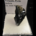 Mineral Specimen: Vivianite, Pyrite from Bolivia, Ex. Josie Middleton Mineral Specimen: Vivianite, Pyrite from Bolivia, Ex. Josie Middleton