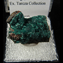 Mineral Specimen: Rosasite from Mina Ojuela, Mapimi, Durango, Mexico Ex. Tarcza Collection Mineral Specimen: Rosasite from Mina Ojuela, Mapimi, Durango, Mexico Ex. Tarcza Collection
