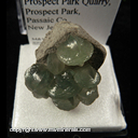 Mineral Specimen: Prehnite from Prospect Park Quarry, Prospect Park, Passaic Co., New Jersey Mineral Specimen: Prehnite from Prospect Park Quarry, Prospect Park, Passaic Co., New Jersey