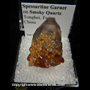 Mineral Specimen: Spessartine Garnets on Smoky Quartz from Tongbei, Fujian, China Mineral Specimen: Spessartine Garnets on Smoky Quartz from Tongbei, Fujian, China