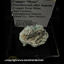 Mineral Specimen: Copper Rose - Copper Pseudomorph after Azurite from Copper Rose Mine, San Lorenzo, Georgetown District, Grant Co., New Mexico Mineral Specimen: Copper Rose - Copper Pseudomorph after Azurite from Copper Rose Mine, San Lorenzo, Georgetown District, Grant Co., New Mexico