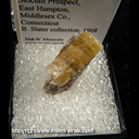 Mineral Specimen: Heliodor Beryl from Slocum Prospect, East Hampton, Midllesex Co., Connecticut, E. Slater, 1968 Mineral Specimen: Heliodor Beryl from Slocum Prospect, East Hampton, Midllesex Co., Connecticut, E. Slater, 1968
