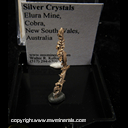 Mineral Specimen: Silver Crystals from Elura Mine, Cobra, New South Wales, South Africa Mineral Specimen: Silver Crystals from Elura Mine, Cobra, New South Wales, South Africa