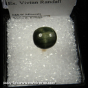 Mineral Specimen: Tourmaline variety: Catseye - appx. 3.5 ct from Minas Gerais, Brazil, Ex. Vivian Randall