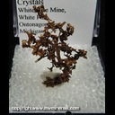 Mineral Specimen: Copper, Cubic Crystals from White Pine Mine, White Pine, Ontonagon County, Michigan