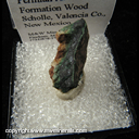 Mineral Specimen: Djurleite after Permian Abo Wood from Scholle, Valencia Co., New Mexico Mineral Specimen: Djurleite after Permian Abo Wood from Scholle, Valencia Co., New Mexico