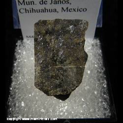 Mineral Specimen: Weibullite in Pyrite from Mun. de Janos, Chihuahua, Mexico Mineral Specimen: Weibullite in Pyrite from Mun. de Janos, Chihuahua, Mexico