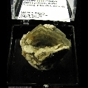 Minerals Specimen: Barite from Quarry near Cidade Baixa prison, Joao Pessoa, Paraiba, Brazil Minerals Specimen: Barite from Quarry near Cidade Baixa prison, Joao Pessoa, Paraiba, Brazil