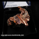 Mineral Specimen: Copper Casts, Quartz from Caledonia Mine, Ontonagon Co., Michigan Mineral Specimen: Copper Casts, Quartz from Caledonia Mine, Ontonagon Co., Michigan