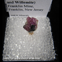 Mineral Specimen: Hodgkinsonite, Franklinite, Willemite from Franklin Mine, Franklin, Sussex Co., New Jersey Mineral Specimen: Hodgkinsonite, Franklinite, Willemite from Franklin Mine, Franklin, Sussex Co., New Jersey