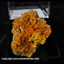 Mineral Specimen: Mimetite, Wulfenite from San Francisco Mine, Cerro Prieto, Cucurpe, Mun. de Cucurpe, Sonora, Mexico Mineral Specimen: Mimetite, Wulfenite from San Francisco Mine, Cerro Prieto, Cucurpe, Mun. de Cucurpe, Sonora, Mexico