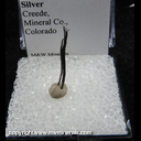 Mineral Specimen: Silver Wire Crystal from Creede, Mineral Co., Colorado Mineral Specimen: Silver Wire Crystal from Creede, Mineral Co., Colorado