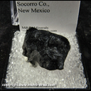 Mineral Specimen: Psilomelane variety: Rat's Hair from Socorro Co., New Mexico Mineral Specimen: Psilomelane variety: Rat's Hair from Socorro Co., New Mexico