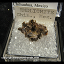 Mineral Specimen: Endlichite (Arsenian Vanadinite), Hollow from Chihuahua, Mexico, Ex. A. Neely, 1960s Mineral Specimen: Endlichite (Arsenian Vanadinite), Hollow from Chihuahua, Mexico, Ex. A. Neely, 1960s