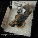 Mineral Specimen: Galena from Pitcher, Cherokee Co., Oklahoma, 1960s