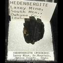 Mineral Specimen: Hedenbergite from Laxey Mine, South Mountain District, Owyhee Co., Idaho , from personal collection of Willard J. 'Perky' Perkin with collection disbursment label of Keith Williams Mineral Specimen: Hedenbergite from Laxey Mine, South Mountain District, Owyhee Co., Idaho , from personal collection of Willard J. 'Perky' Perkin with collection disbursment label of Keith Williams