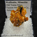 Mineral Specimen: Wulfenite, Mimetite from Old Yuma Mine, Tucson Mts., Pima Co., Arizona Mineral Specimen: Wulfenite, Mimetite from Old Yuma Mine, Tucson Mts., Pima Co., Arizona