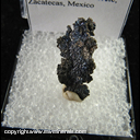 Mineral Specimen: Bornite on Sheet Silver from Mina La Noria, San Pantaleon de la Noria, San Martin, Mun. de Sombrerete, Zacatecas, Mexico Mineral Specimen: Bornite on Sheet Silver from Mina La Noria, San Pantaleon de la Noria, San Martin, Mun. de Sombrerete, Zacatecas, Mexico