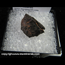 Mineral Specimen: Meteorite, Canyon Diablo - 2.2 g from North side of Meteor Crater, near Winslow, Coconino Co., Arizona Collected 1928 Mineral Specimen: Meteorite, Canyon Diablo - 2.2 g from North side of Meteor Crater, near Winslow, Coconino Co., Arizona Collected 1928