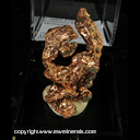 Mineral Specimen: Copper crystals from Keweenaw Peninsula, Michigan Mineral Specimen: Copper crystals from Keweenaw Peninsula, Michigan