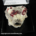 Mineral Specimen: Cinnabar, Dolemite from Tongren Mine, Tongren Co., Tongren Prefecture, Guizho Province, China Mineral Specimen: Cinnabar, Dolemite from Tongren Mine, Tongren Co., Tongren Prefecture, Guizho Province, China