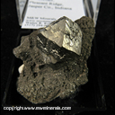 Mineral Specimen: Pyrite from Rensselaer, Pleasant Ridge, Jasper Co., Indiana Mineral Specimen: Pyrite from Rensselaer, Pleasant Ridge, Jasper Co., Indiana