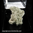 Mineral Specimen: Paravauxite from Siglo Viente Mine, Llallagua, Rafael Bustillo Prov., Potosi Dept., Bolivia, Ex. Philadelphia Academy of Sciences, 1929-30 Vaux Expedition Mineral Specimen: Paravauxite from Siglo Viente Mine, Llallagua, Rafael Bustillo Prov., Potosi Dept., Bolivia, Ex. Philadelphia Academy of Sciences, 1929-30 Vaux Expedition