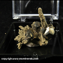 Mineral Specimen: Pyrite from Dalnegorsk, Russia Mineral Specimen: Pyrite from Dalnegorsk, Russia