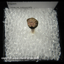 Mineral Specimen: Sakura Ishi (Cherry Blossom Stone): Muscovite Mica Pseudomorphs of Complex Intergrown Codierite-Indialite from Kameoka Kyoto Prefecture, Japan Mineral Specimen: Sakura Ishi (Cherry Blossom Stone): Muscovite Mica Pseudomorphs of Complex Intergrown Codierite-Indialite from Kameoka Kyoto Prefecture, Japan