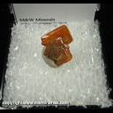 Mineral Specimen: Wulfenite from Red Cloud Mine, La Paz Co., Arizona Mineral Specimen: Wulfenite from Red Cloud Mine, La Paz Co., Arizona