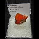 Mineral Specimen: Wulfenite from Red Cloud Mine, La Paz Co., Arizona Mineral Specimen: Wulfenite from Red Cloud Mine, La Paz Co., Arizona