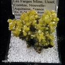 Mineral Specimen: Pyromorphite from Les Farges Mine, Ussel, Corr�ze, Nouvelle-Aquitaine, France, Ex. E. Morales, from R.L. Sohn, Tucson show 1981 Mineral Specimen: Pyromorphite from Les Farges Mine, Ussel, Corr�ze, Nouvelle-Aquitaine, France, Ex. E. Morales, from R.L. Sohn, Tucson show 1981