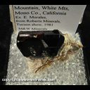 Mineral Specimen: Rutile from Champion Mine, White Mountain, White Mts, Mono Co., California, Ex. E. Morales, from Roberts Minerals, Tucson show, 1981 Mineral Specimen: Rutile from Champion Mine, White Mountain, White Mts, Mono Co., California, Ex. E. Morales, from Roberts Minerals, Tucson show, 1981