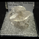 Mineral Specimen: Calcite from Faylor-Middle Creek Quarry, Winfield, Union Co., Pennsylvania, Ex. E. Morales, from Seton Hall show, 1982 Mineral Specimen: Calcite from Faylor-Middle Creek Quarry, Winfield, Union Co., Pennsylvania, Ex. E. Morales, from Seton Hall show, 1982