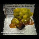 Mineral Specimen: Pyromorphite from Bunker Hill Mine, Kellogg, Couer d'Alene District, Shoshone Co., Idaho, Ex. E. Morales, from Roberts Minerals, Washington DC show, 1982 Mineral Specimen: Pyromorphite from Bunker Hill Mine, Kellogg, Couer d'Alene District, Shoshone Co., Idaho, Ex. E. Morales, from Roberts Minerals, Washington DC show, 1982