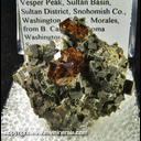 Mineral Specimen: Grossular Garnet (gemmy) on Diopside from Vesper Peak, Sultan Basin, Sultan District, Snohomish Co., Washington, Ex. E. Morales, from B. Cannon, Tacoma Washington Mineral Symposium, 1982 Mineral Specimen: Grossular Garnet (gemmy) on Diopside from Vesper Peak, Sultan Basin, Sultan District, Snohomish Co., Washington, Ex. E. Morales, from B. Cannon, Tacoma Washington Mineral Symposium, 1982