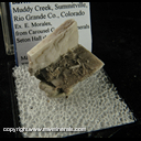 Mineral Specimen: Barite Twinned Crystals from Muddy Creek, Summitville, Ex. E. Morales, from Carousal Gems & Minerals, Seton Hall show, 1982 Mineral Specimen: Barite Twinned Crystals from Muddy Creek, Summitville, Ex. E. Morales, from Carousal Gems & Minerals, Seton Hall show, 1982