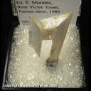 Mineral Specimen: Cerussite from Touissit, Morocco, Ex. E. Morales, from Victor Yount, Tucson show, 1989 Mineral Specimen: Cerussite from Touissit, Morocco, Ex. E. Morales, from Victor Yount, Tucson show, 1989