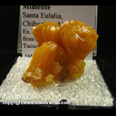 Mineral Specimen: Mimetite from Chihuahua, Mexico, Ex. E. Morales, from Roberts Minerals, Tucson show, 1981 Mineral Specimen: Mimetite from Chihuahua, Mexico, Ex. E. Morales, from Roberts Minerals, Tucson show, 1981