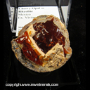 Mineral Specimen: Cherry Opal in Rhyolite from Mexico, Ex. Vivian Randall Mineral Specimen: Cherry Opal in Rhyolite from Mexico, Ex. Vivian Randall