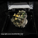 Mineral Specimen: Pyrite, Diploid Crystals from Duff Quarry, Huntsville, Ohio, Collected by J. Medici Mineral Specimen: Pyrite, Diploid Crystals from Duff Quarry, Huntsville, Ohio, Collected by J. Medici