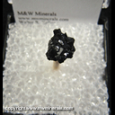 Mineral Specimen: Ramsdellite Crystals from Priceless Mine, Artillery Peak, Artillary Mts., Mohave Co., Arizona Mineral Specimen: Ramsdellite Crystals from Priceless Mine, Artillery Peak, Artillary Mts., Mohave Co., Arizona