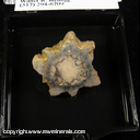 Mineral Specimen: Quartz from location unknown Mineral Specimen: Quartz from location unknown