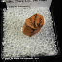 Mineral Specimen: Orthoclase with Manganese Oxide Dendrites from Crystal Pass properties, Goodsprings District, Spring Mts, Clark Co., Nevada Mineral Specimen: Orthoclase with Manganese Oxide Dendrites from Crystal Pass properties, Goodsprings District, Spring Mts, Clark Co., Nevada
