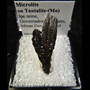 Mineral Specimen: Microlite on Tantalite-(Mn) from Ipe Mine, Governador Valadares, Minas Gerais, Brazil Mineral Specimen: Microlite on Tantalite-(Mn) from Ipe Mine, Governador Valadares, Minas Gerais, Brazil