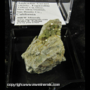 Mineral Specimen: Andradite Garnet variety: Topazolite from Yellow Cat Mine, New Idria District, San Benito Co., California Mineral Specimen: Andradite Garnet variety: Topazolite from Yellow Cat Mine, New Idria District, San Benito Co., California