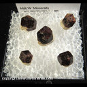 Mineral Specimen: Garnets from Tanzania, Ex. Steve Pullman Mineral Specimen: Garnets from Tanzania, Ex. Steve Pullman